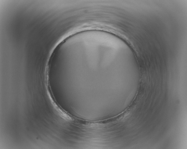 X0000075861522200609291535