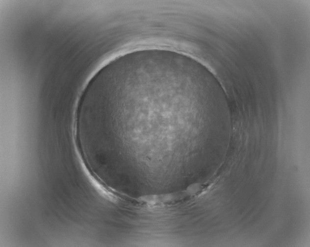 X0000075861523200609291535