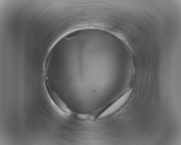 X0000075861524200609291535