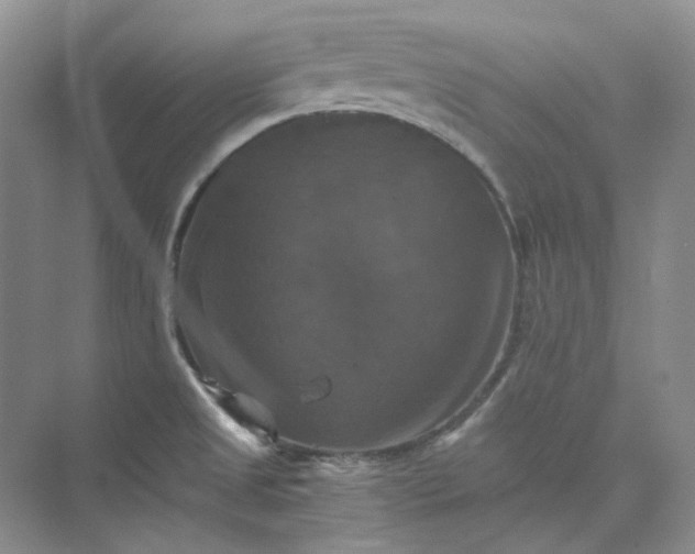 X0000075861525200609291535