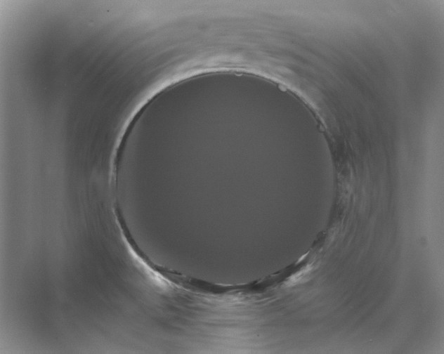 X0000075861527200609291535