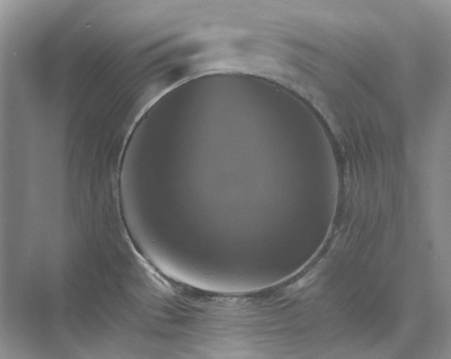 X0000075861529200609291535