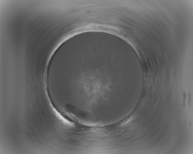 X0000075861531200609291535