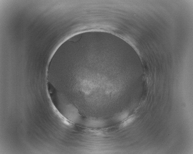 X0000075861532200609291535