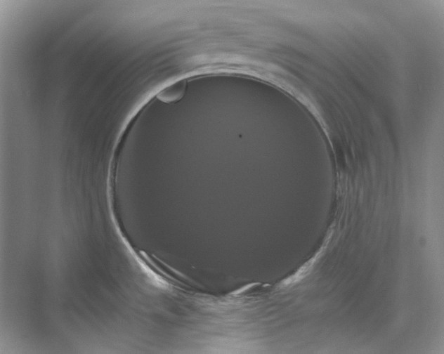 X0000075861533200609291535