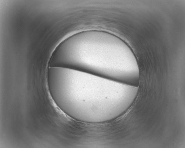 X0000075861534200609291535