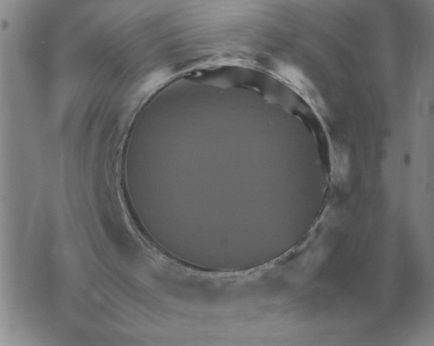 X0000075860001200610061949