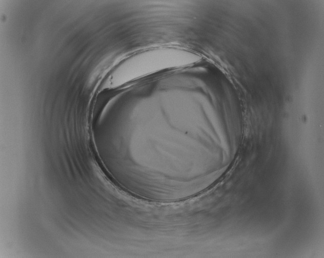 X0000075860002200610061949