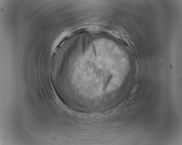 X0000075860003200610061949