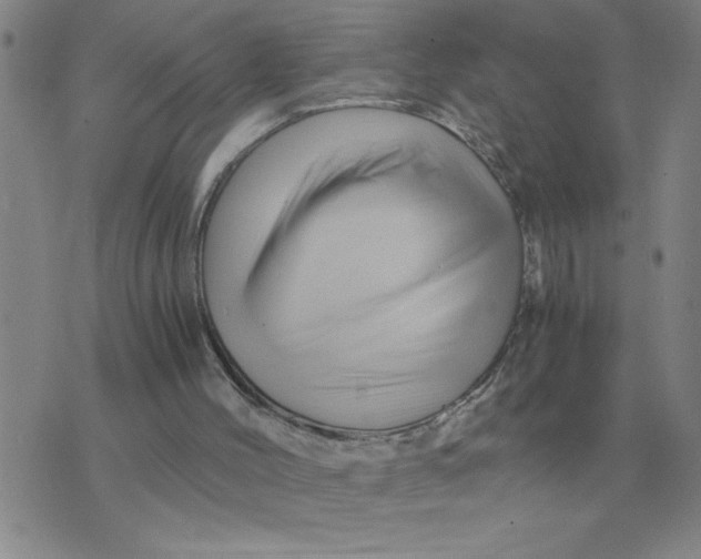 X0000075860004200610061949