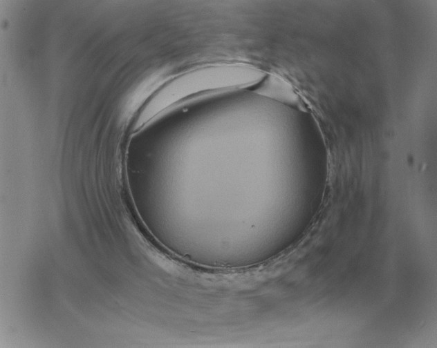 X0000075860005200610061949