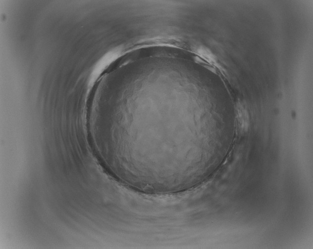 X0000075860006200610061949