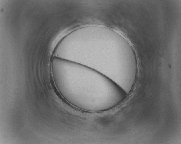 X0000075860007200610061949