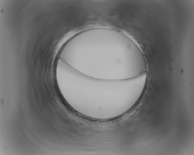 X0000075860008200610061949