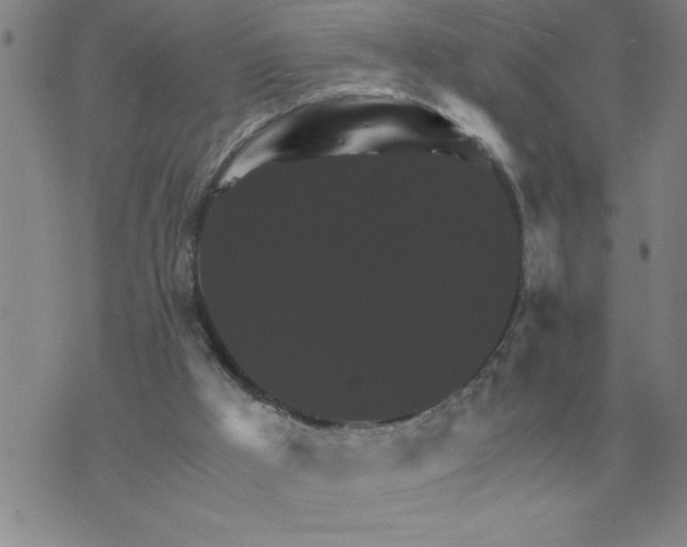 X0000075860009200610061949