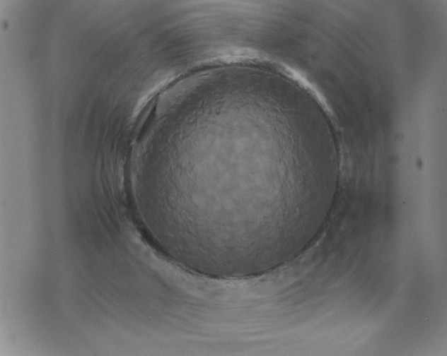 X0000075860010200610061949