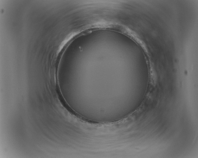 X0000075860011200610061949