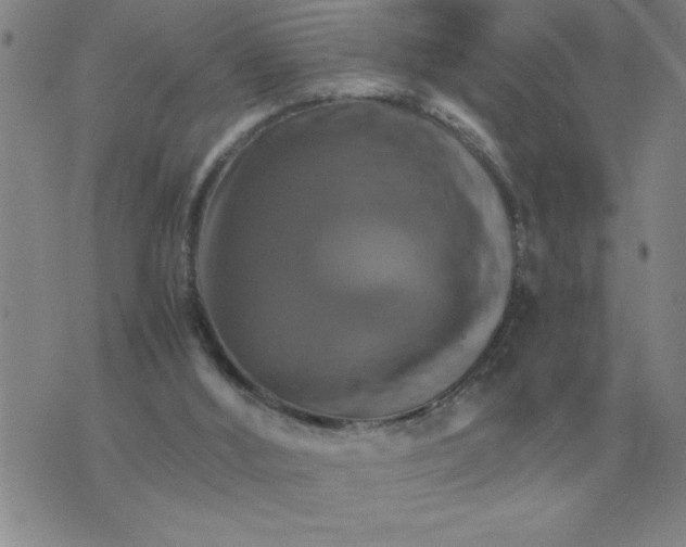 X0000075860012200610061949