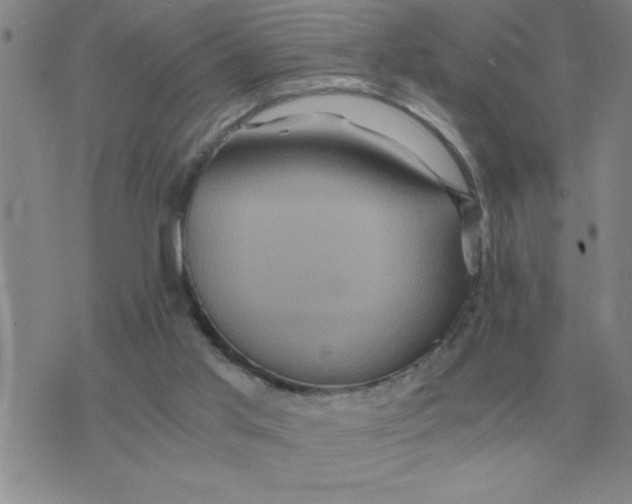 X0000075860013200610061949