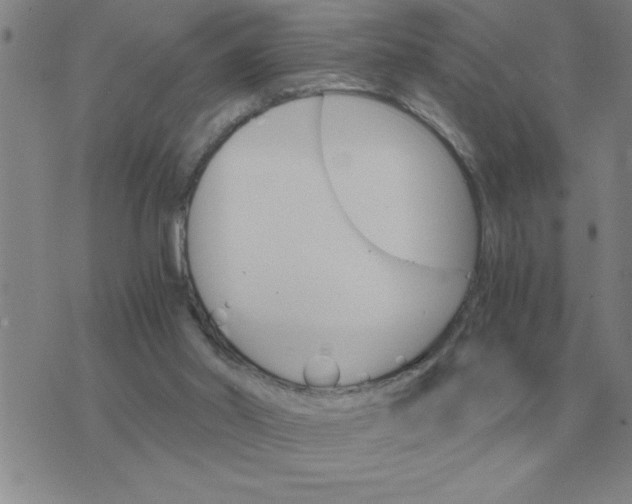 X0000075860014200610061948