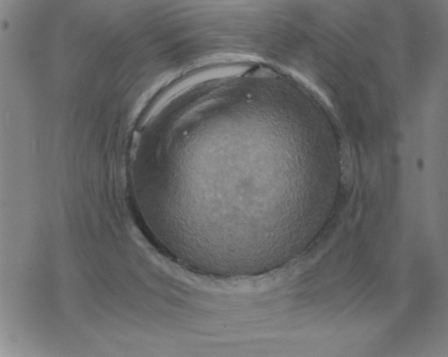 X0000075860015200610061948