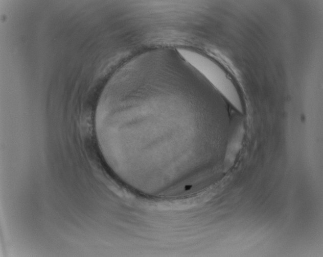 X0000075860017200610061948