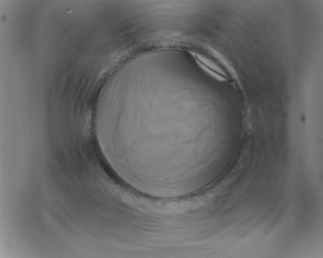 X0000075860018200610061948