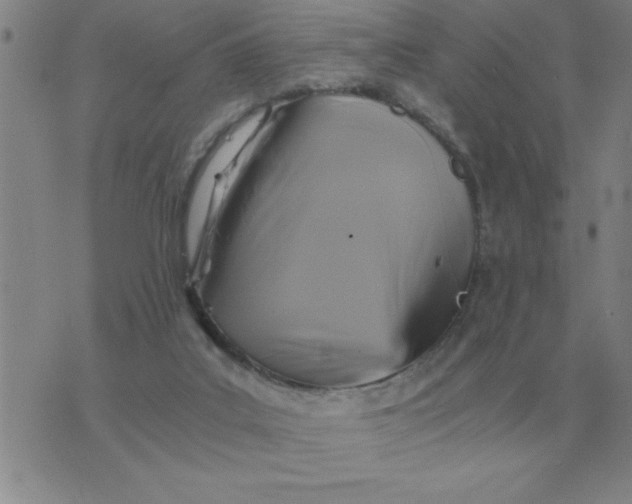 X0000075860019200610061948