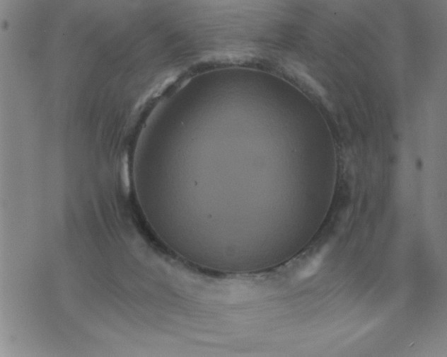 X0000075860020200610061948