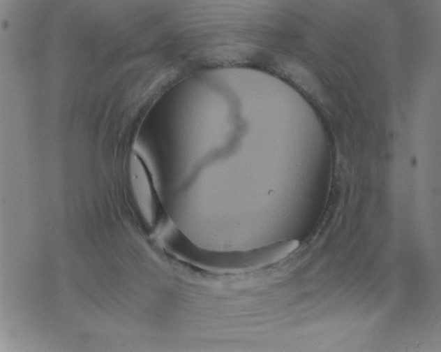 X0000075860021200610061948