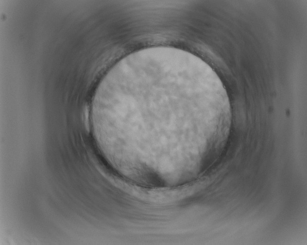 X0000075860022200610061948