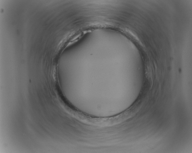 X0000075860023200610061948