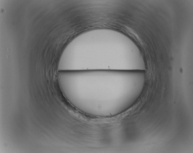 X0000075860025200610061948