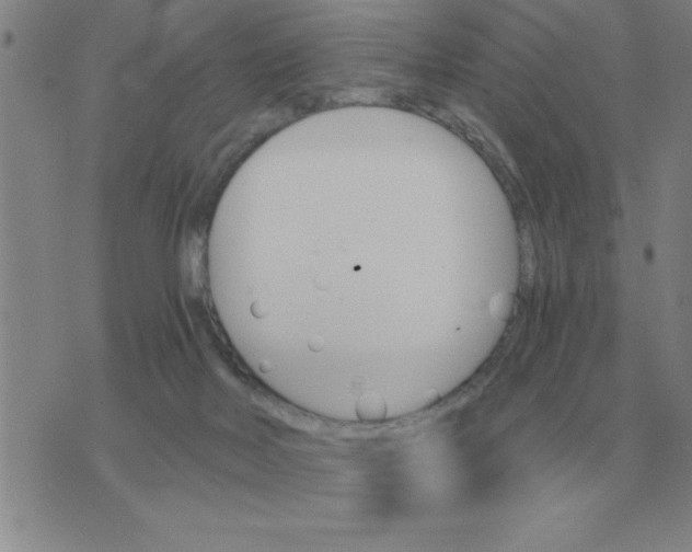 X0000075860026200610061948