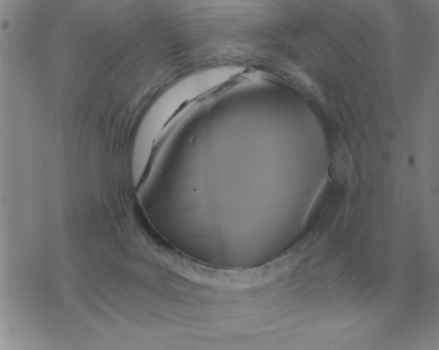 X0000075860027200610061948