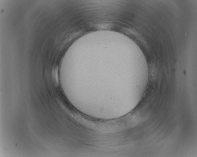 X0000075860028200610061948