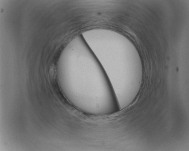 X0000075860029200610061948