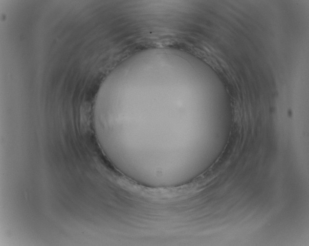 X0000075860030200610061948