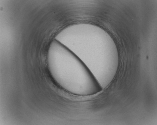 X0000075860031200610061948