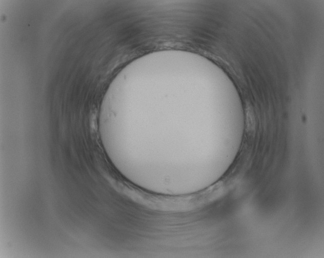 X0000075860032200610061948