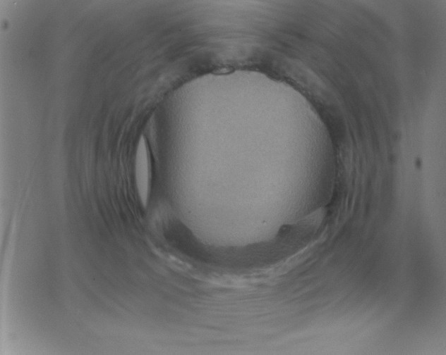 X0000075860033200610061948