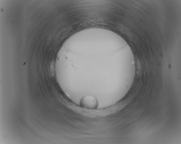 X0000075860034200610061948