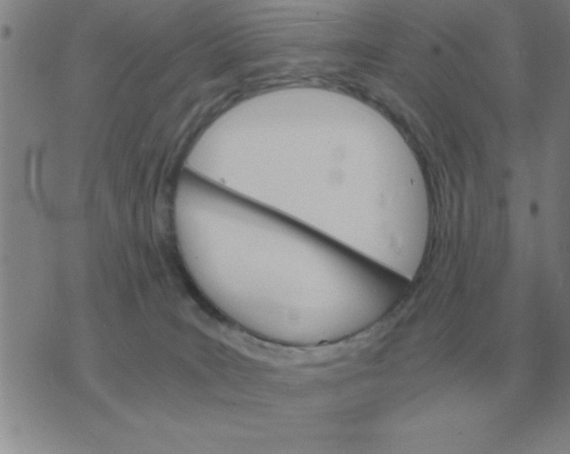 X0000075860035200610061948