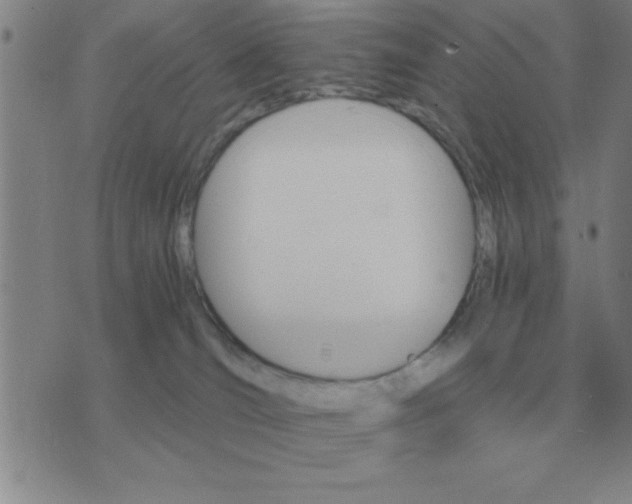 X0000075860036200610061948