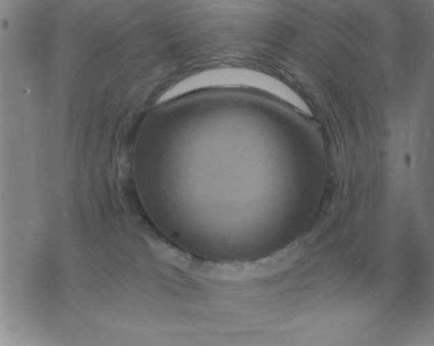 X0000075860037200610061948