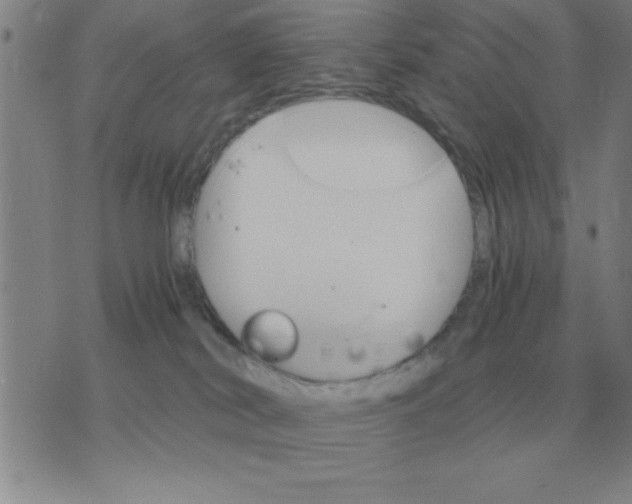 X0000075860038200610061948