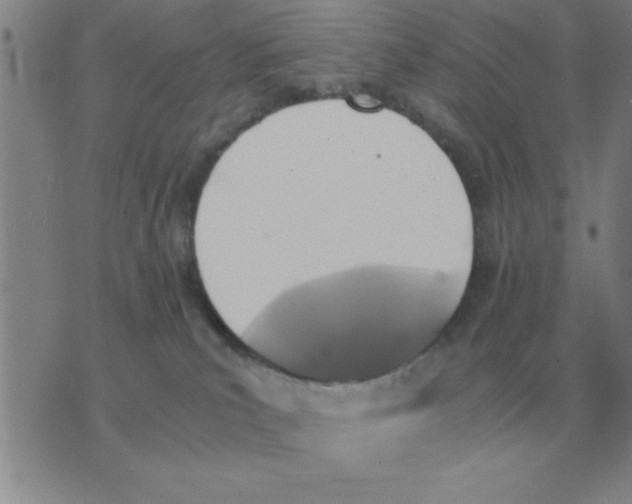 X0000075860039200610061948