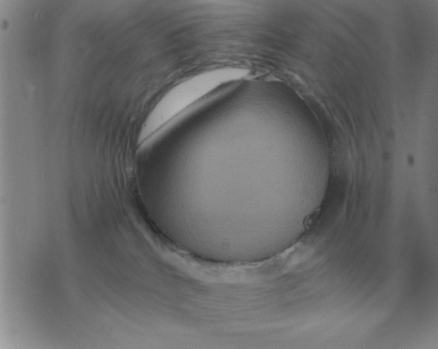 X0000075860040200610061948