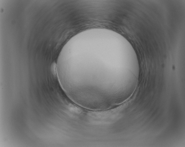 X0000075860041200610061948