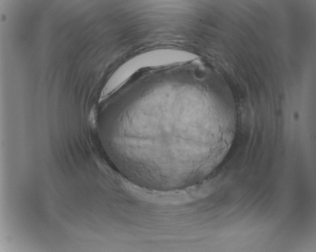 X0000075860042200610061948